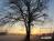 Bild#90(sonnenpracht0090.jpg)