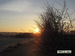 Klick für Originalgröße :sonnenpracht0092.jpg