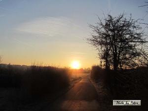 Klick für Originalgröße :sonnenpracht0093.jpg