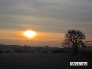 Klick für Originalgröße :sonnenpracht0099.jpg