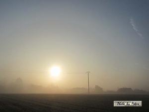 Klick für Originalgröße :sonnenpracht0114.jpg