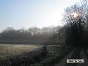 Klick für Originalgröße :sonnenpracht0118.jpg
