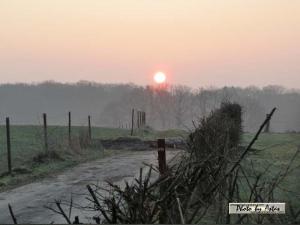 Klick für Originalgröße :sonnenpracht0125.jpg