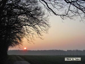 Klick für Originalgröße :sonnenpracht0126.jpg