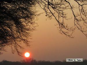 Klick für Originalgröße :sonnenpracht0127.jpg