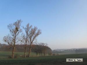Klick für Originalgröße :sonnenpracht0132.jpg