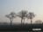 Bild#133(sonnenpracht0133.jpg)