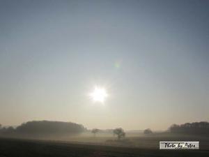 Klick für Originalgröße :sonnenpracht0136.jpg