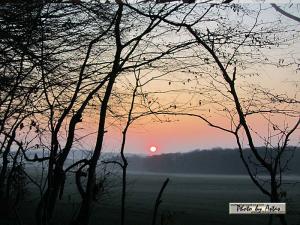 Klick für Originalgröße :sonnenpracht0138.jpg