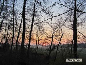 Klick für Originalgröße :sonnenpracht0139.jpg