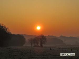 Klick für Originalgröße :sonnenpracht0143.jpg