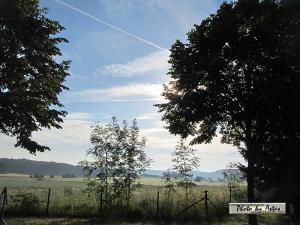 Klick für Originalgröße :sonnenpracht0169.jpg