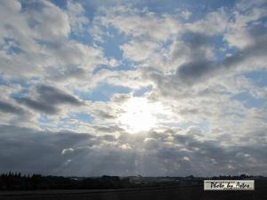 Klick für Originalgröße :sonnenpracht0173.jpg