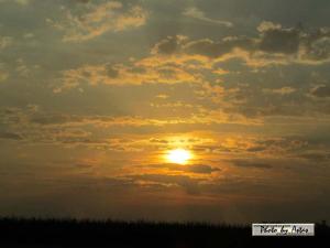 Klick für Originalgröße :sonnenpracht0189.jpg