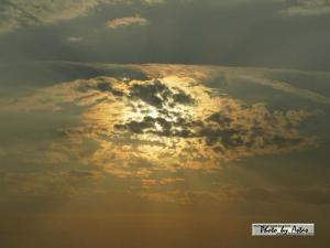 Klick für Originalgröße :sonnenpracht0190.jpg