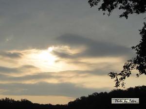 Klick für Originalgröße :sonnenpracht0192.jpg