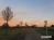 Bild#197(sonnenpracht0197.jpg)