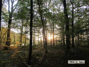 Klick für Originalgröße :sonnenpracht0198.jpg