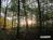 Bild#198(sonnenpracht0198.jpg)