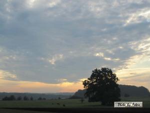Klick für Originalgröße :sonnenpracht0207.jpg