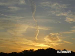 Klick für Originalgröße :sonnenpracht0214.jpg