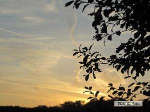 Klick für Originalgröße :sonnenpracht0215.jpg