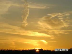 Klick für Originalgröße :sonnenpracht0217.jpg