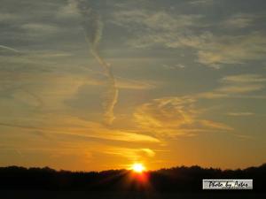 Klick für Originalgröße :sonnenpracht0218.jpg
