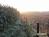 Bild#224(sonnenpracht0224.jpg)