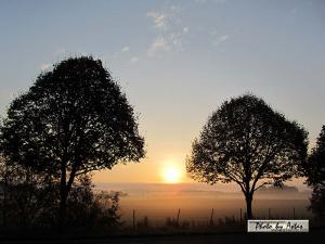 Klick für Originalgröße :sonnenpracht0231.jpg