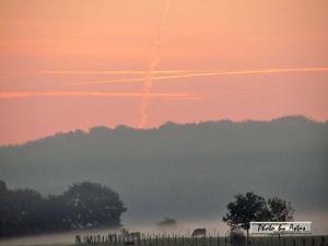 Klick für Originalgröße :sonnenpracht0234.jpg