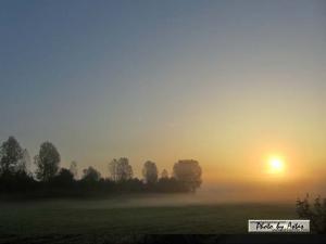 Klick für Originalgröße :sonnenpracht0242.jpg