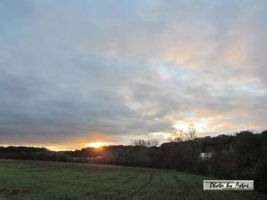 Klick für Originalgröße :sonnenpracht0244.jpg