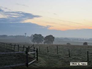 Klick für Originalgröße :sonnenpracht0248.jpg