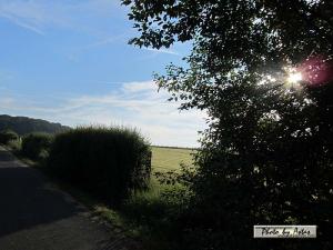 Klick für Originalgröße :sonnenpracht0251.jpg