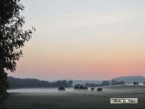 Klick für Originalgröße :sonnenpracht0252.jpg