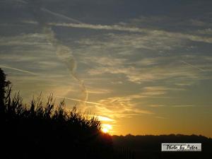 Klick für Originalgröße :sonnenpracht0254.jpg
