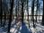 Bild#257(sonnenpracht0257.jpg)