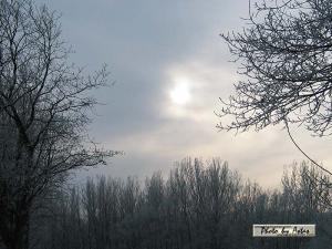 Klick für Originalgröße :sonnenpracht0261.jpg
