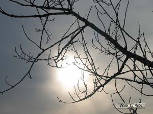 Klick für Originalgröße :sonnenpracht0262.jpg