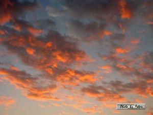 Klick für Originalgröße :sonnenpracht0272.jpg