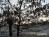 Bild#288(sonnenpracht0288.jpg)