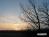 Bild#291(sonnenpracht0291.jpg)