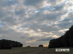 Klick für Originalgröße :sonnenpracht0296.jpg