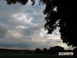 Klick für Originalgröße :sonnenpracht0297.jpg