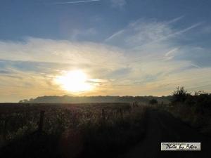 Klick für Originalgröße :sonnenpracht0300.jpg