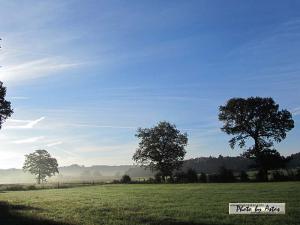 Klick für Originalgröße :sonnenpracht0310.jpg