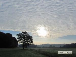 Klick für Originalgröße :sonnenpracht0313.jpg