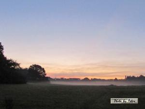 Klick für Originalgröße :sonnenpracht0325.jpg