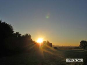 Klick für Originalgröße :sonnenpracht0340.jpg
